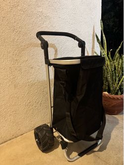 Foldable 2-Wheel Utility Wagon/Garden Cart for Shopping, Black Silver Metal
