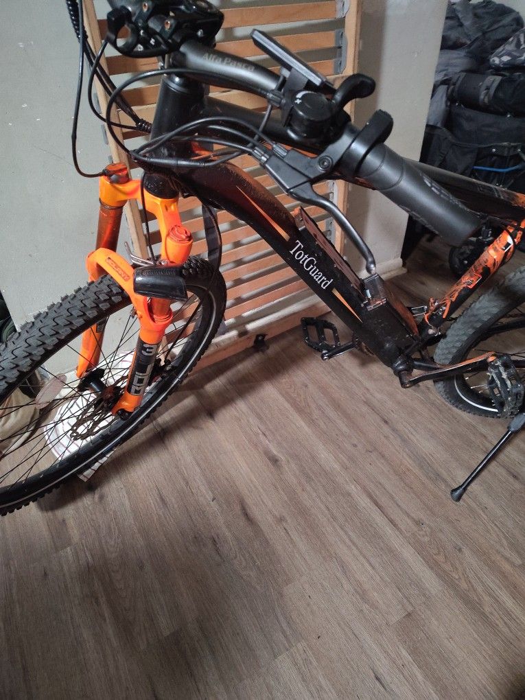 Tot Guard Electric Bike