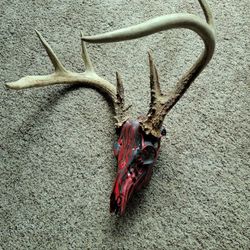 Rustic painted deer skull with antlers