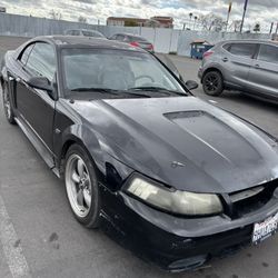 2002 Ford Mustang