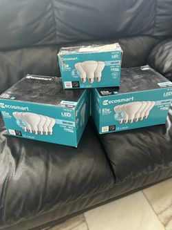 Ecosmart LED Lightbulbs 65W & 70W