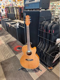 Takamine acoustic guitar G series