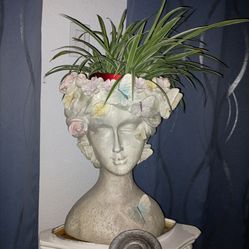 Pot