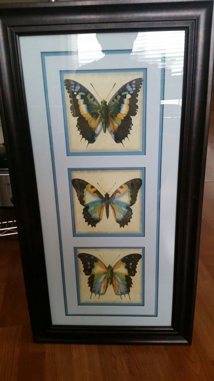 Butterfly Decor