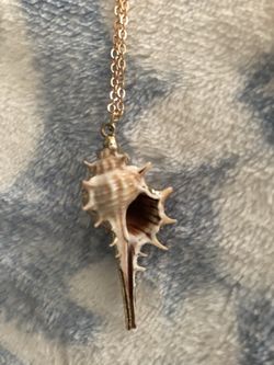 New sea shell necklace gold tone chain