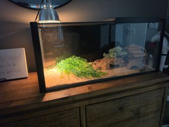 Reptile tank enclosure