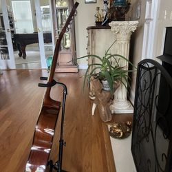 Acoustic guitar 