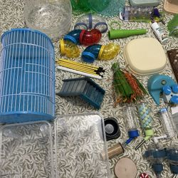 Hamster/Guinea Pig Supplies