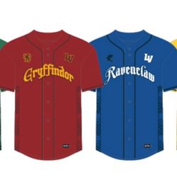 Harry Potter Night At Aviators Baseball Game