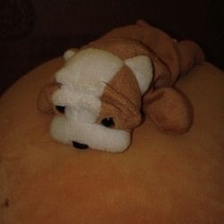 Ty Beanie Babies (Wrinkles)No Ty Tag P.V.c