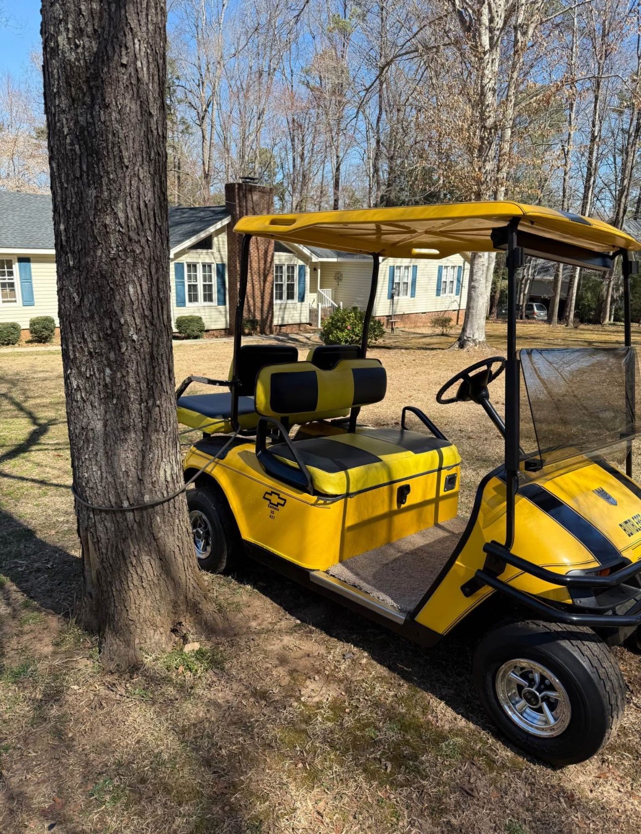 EZGO Golf Cart Customized with trojan batteries