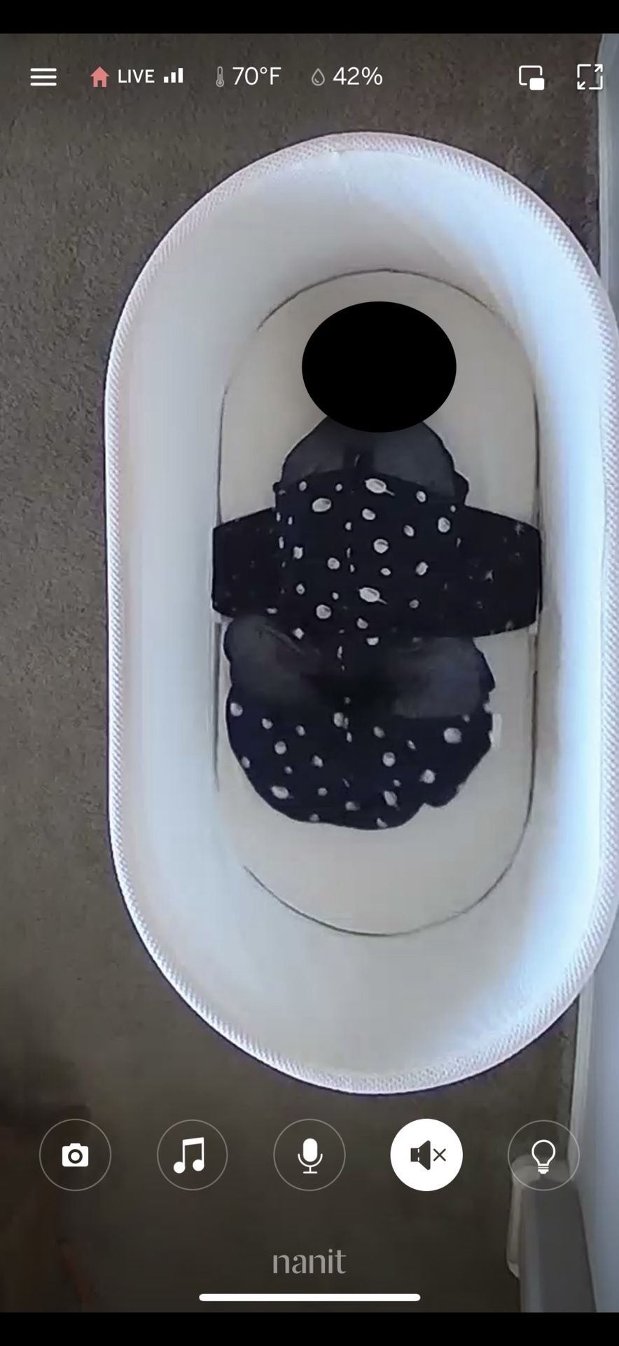 Snoo Bassinet