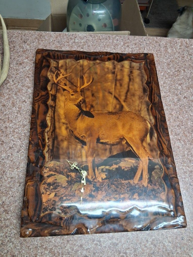 Deer mounted on wood polyurethane clock and antlers.