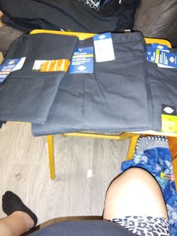 Dickies Shorts/Pants