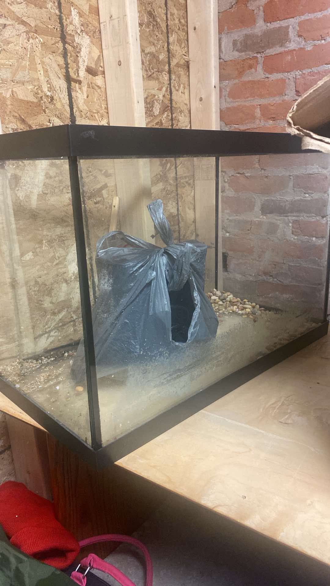 20 Gallon Fish Tank