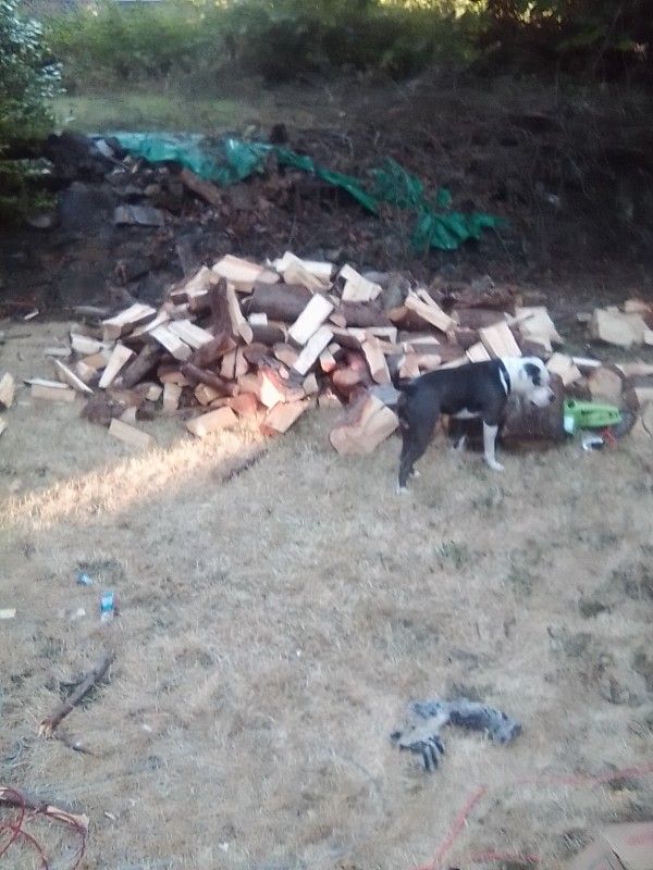 Seasoned Firewood 