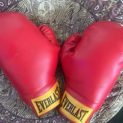 Everlast XL Gloves 