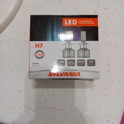 Low Beam Headlights
