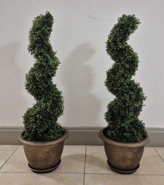 *** REDUCED *** PAIR of 3ft Boxwood Spirals in 11in Gold Circle Planters @ Lasting Creations