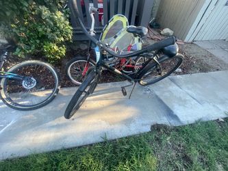 Black Adult Cruiser Bicycle