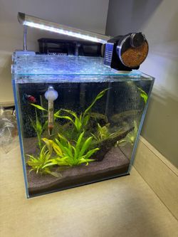 Complete small aquarium