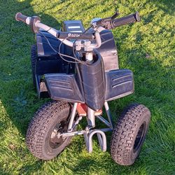 Razor dirt quad