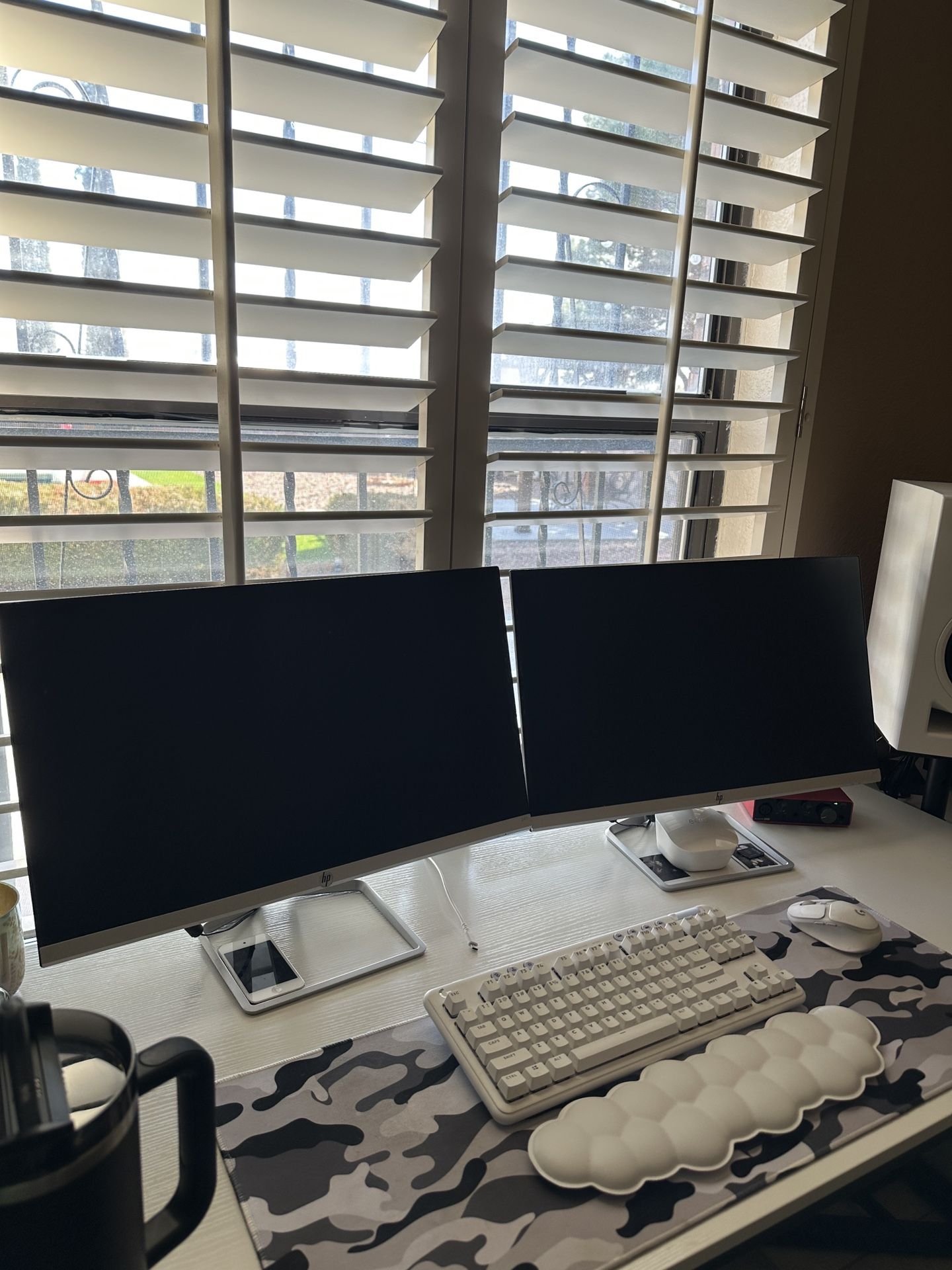 HP 24F Monitor (2)