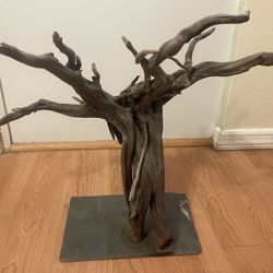 Two large aquarium wood pieces