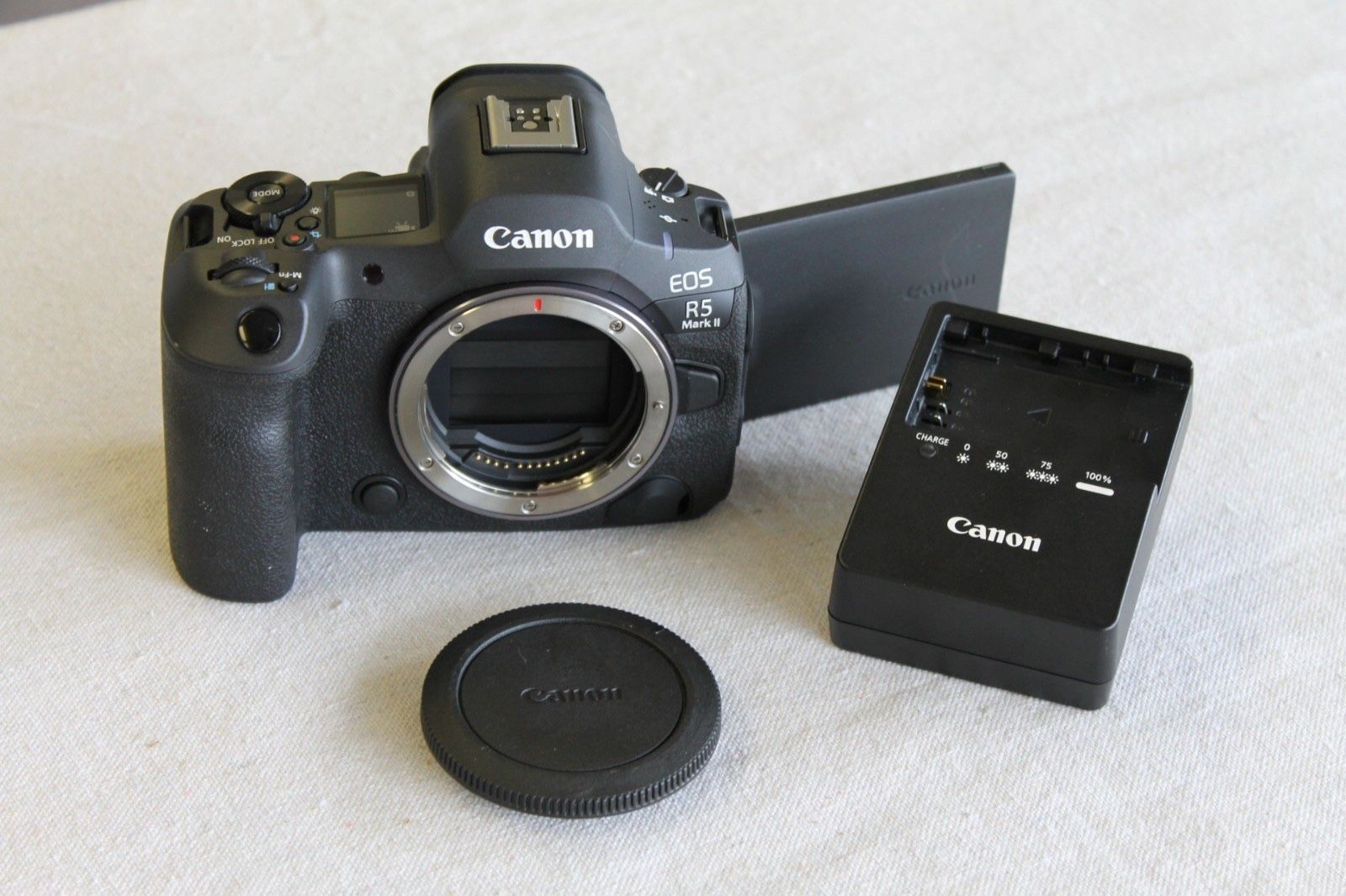 Canon EOS R5 45.0MP Mirrorless Camera - Black