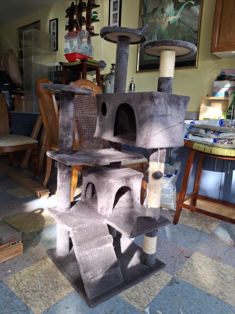 58 In Tall Cat Tower
