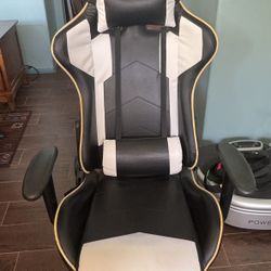 Computer / Gaming Chair