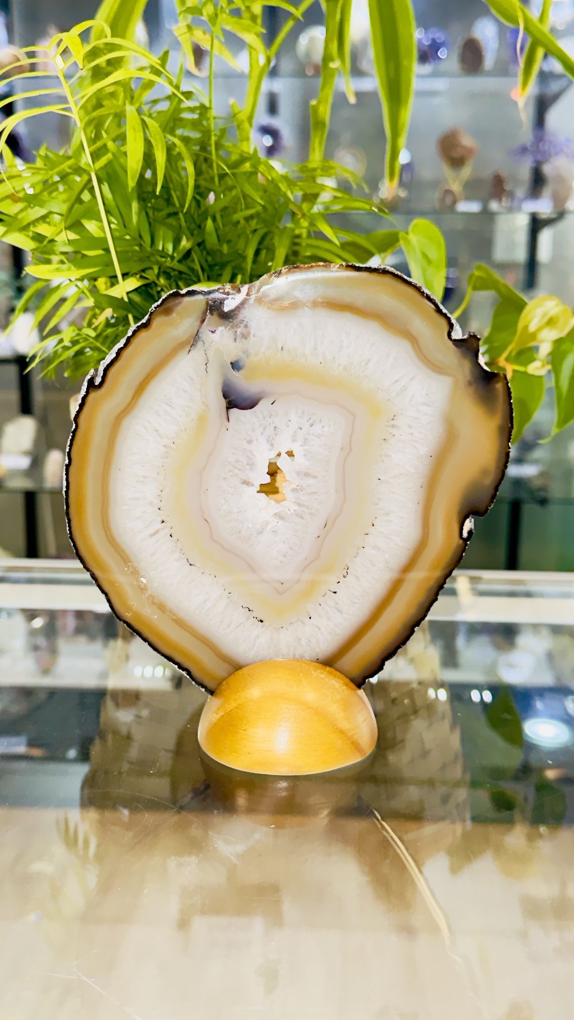 Natural Agate Slice