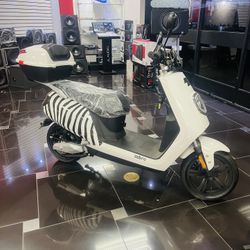 Brand New MoPed ZEBRA