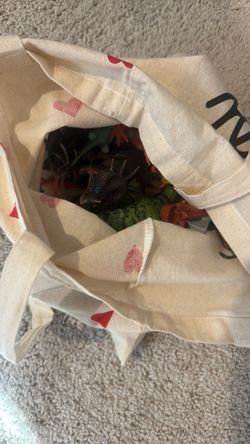 Free bag of dinosaurs