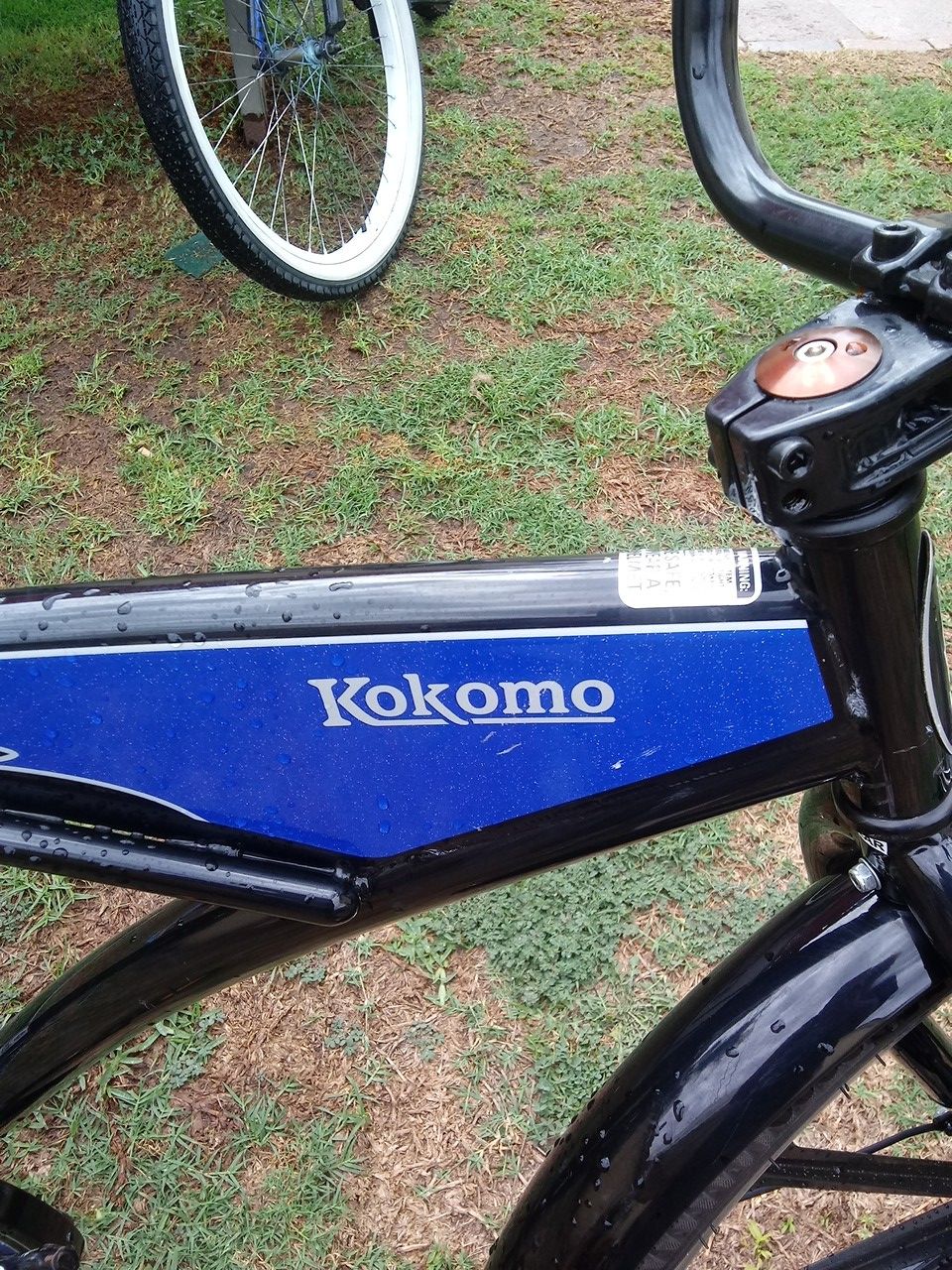 schwinn kokomo beach cruiser
