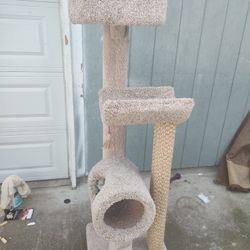 Cat Climber 