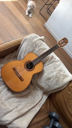 Gianni  Nylon String Acoustic Guitar