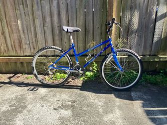 Basic bike