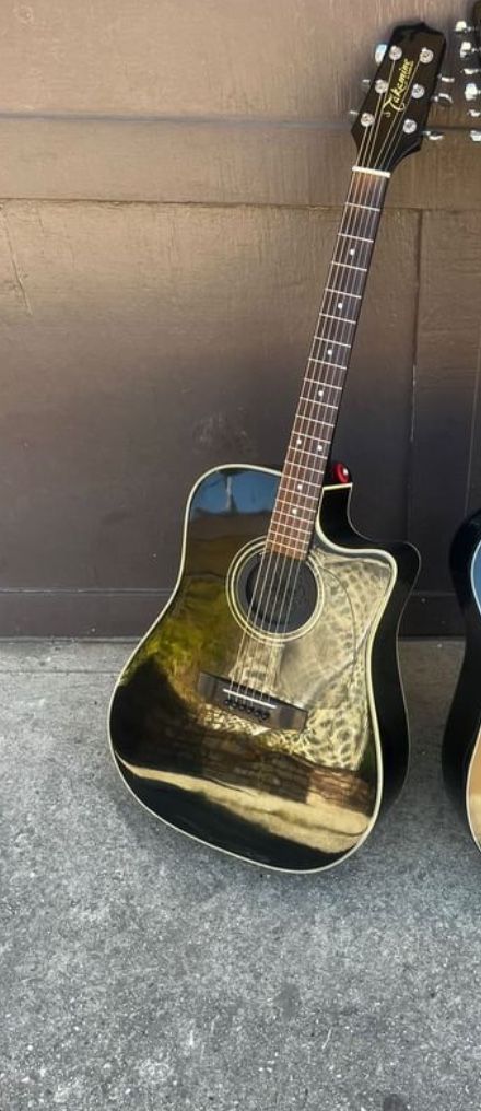 Takamine Antique Guitar Discontinued