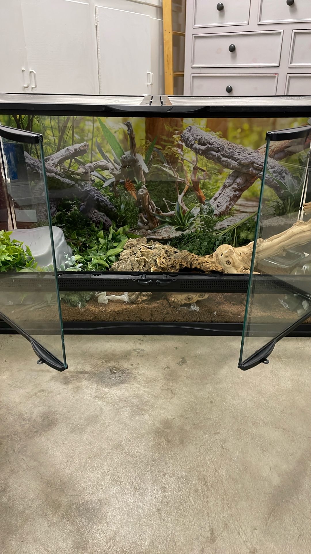 Glass Terrarium