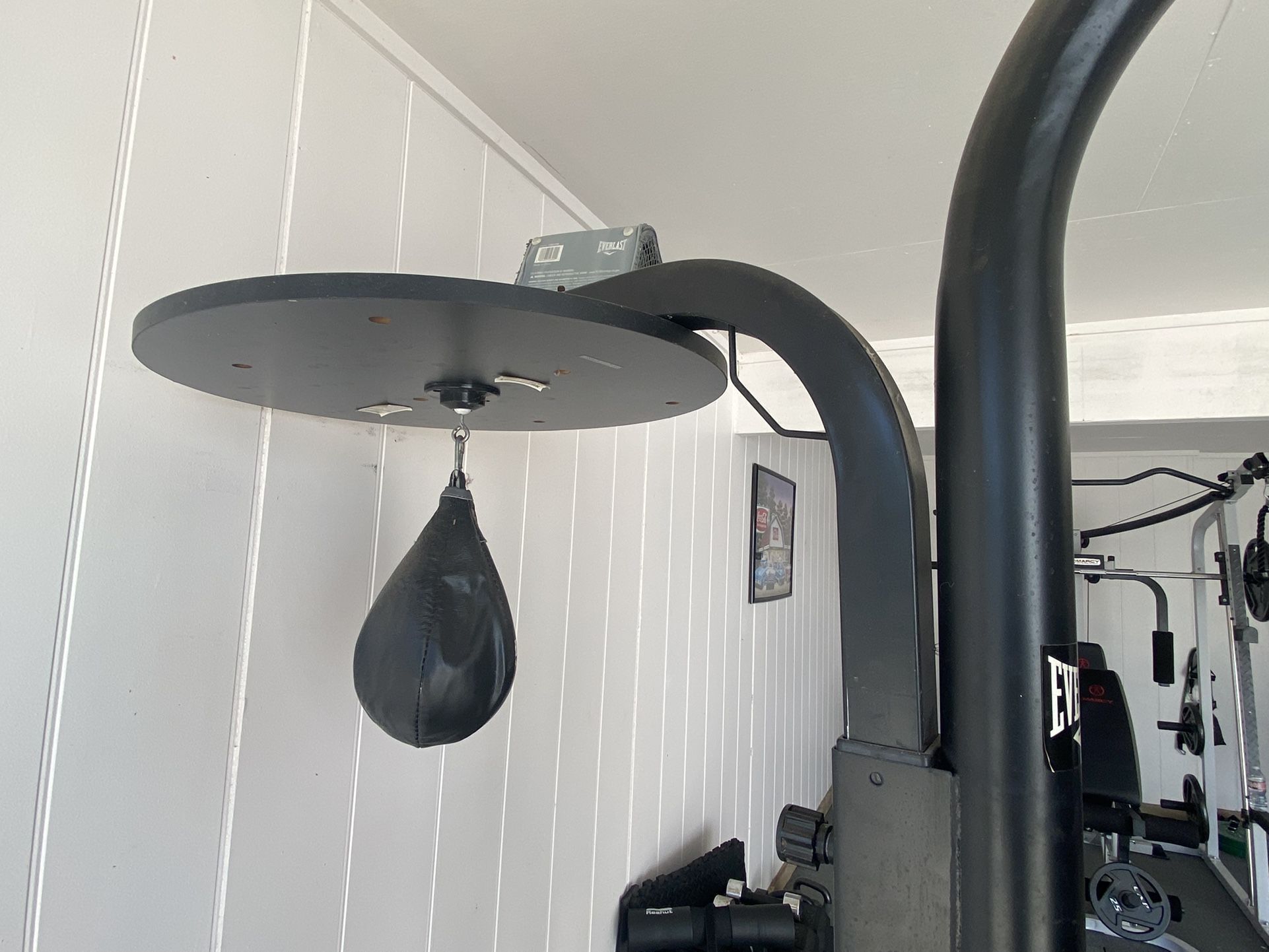 Punching Bag And Speed Bag Combo