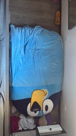 Bluey bed