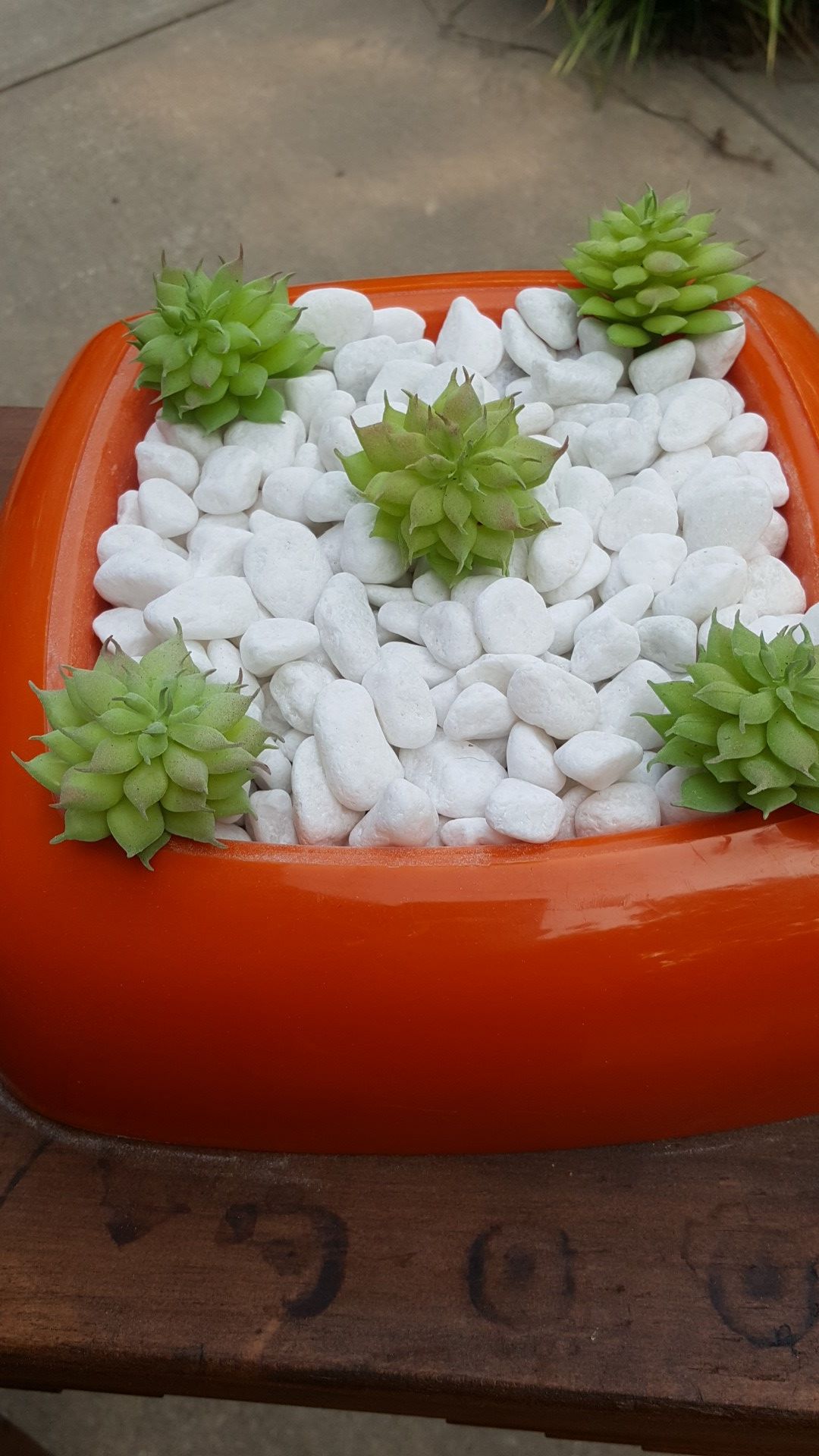 Orange plastic succulent tray with white stones