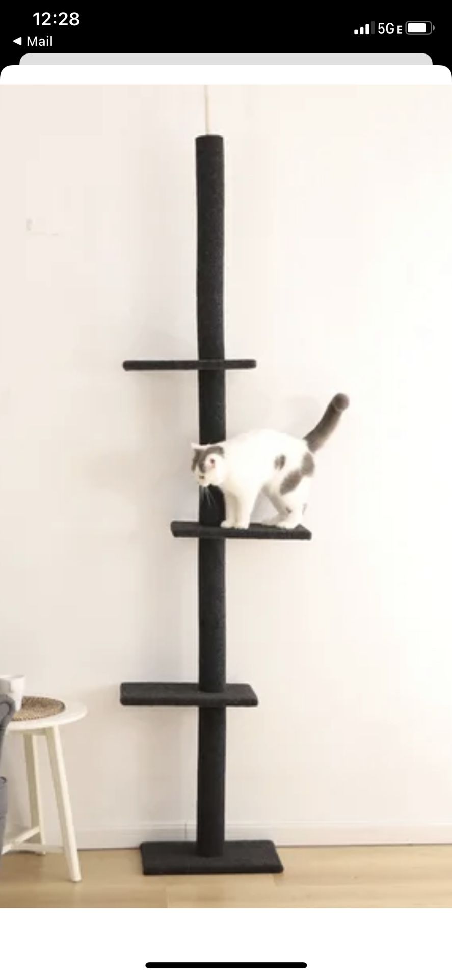 Free Cat Tree (Barely Used)