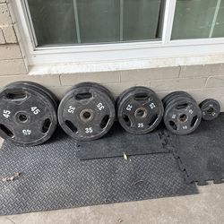 255lb Olympic weight set