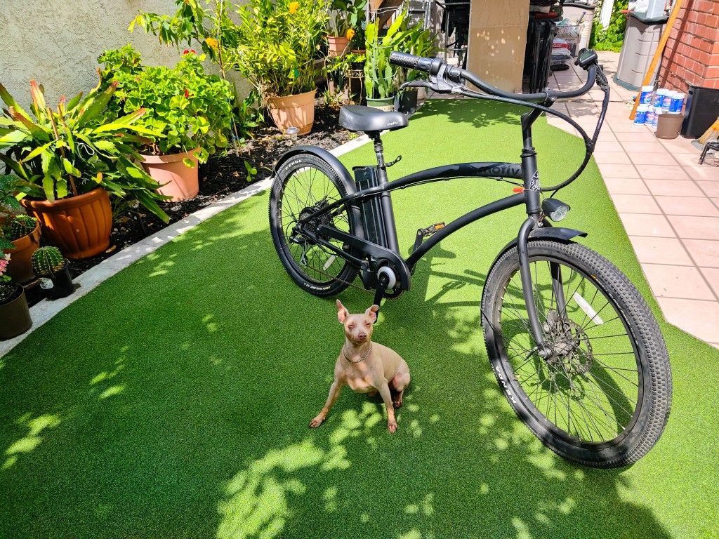 Motiv E Bike 48v 11ah Like New