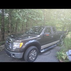 2009 Ford F-150