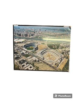 Teo Yankee Stadiums Picture