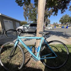 Trek road bike 