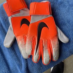 Goalie Gloves 